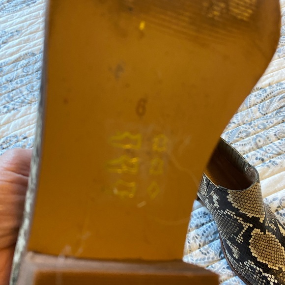MADEWELL Booties. Snake skin. In outstanding condition . - Picture 7 of 7